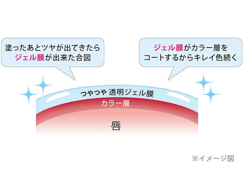 唇に色が密着し、ツヤのあるジェル膜でコートする新処方※のティントリップ