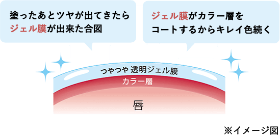 塗ったあとツヤが出てきたらジェル膜が出来た合図。ジェル膜がカラー層をコートするからキレイ色続く。